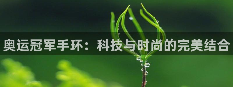 意昂3体育凯捷平台主管