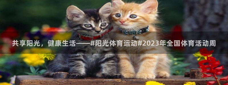意昂3体育凯捷平台主管