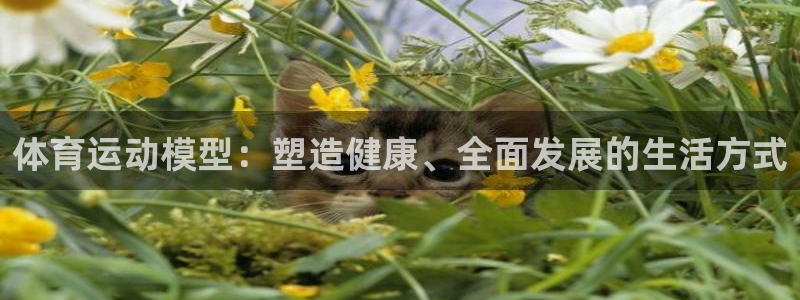 意昂3体育官网登录