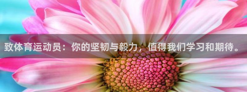 意昂3体育注册