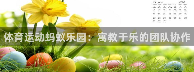 意昂3体育老板是谁