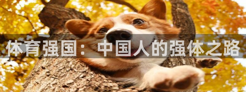 意昂3零能源集团