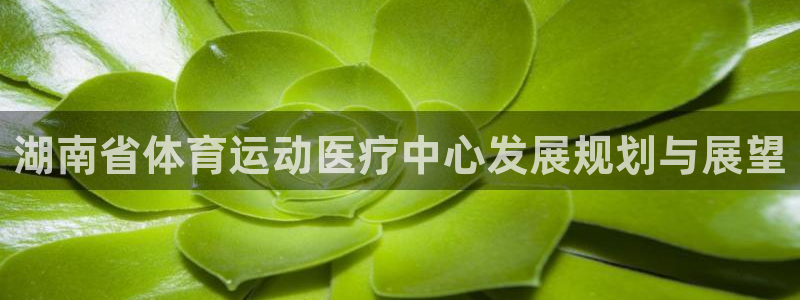 意昂32平台登录