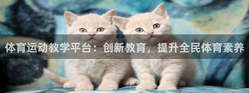 意昂3凯捷平台