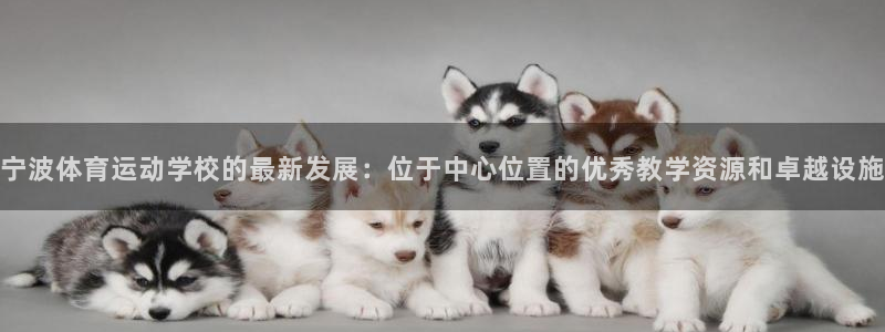 东莞市意昂3电子科技有限公司