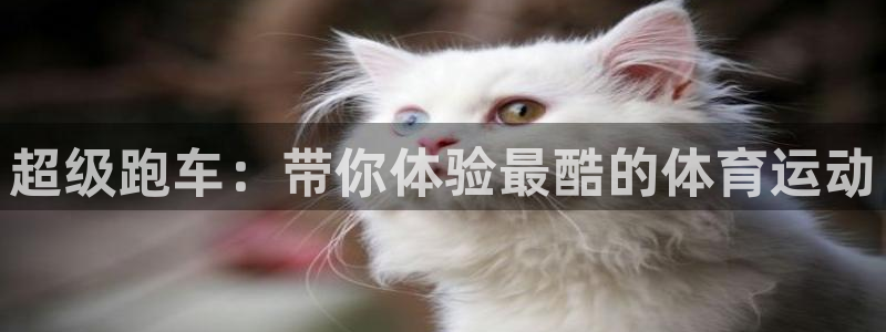 意昂3集团