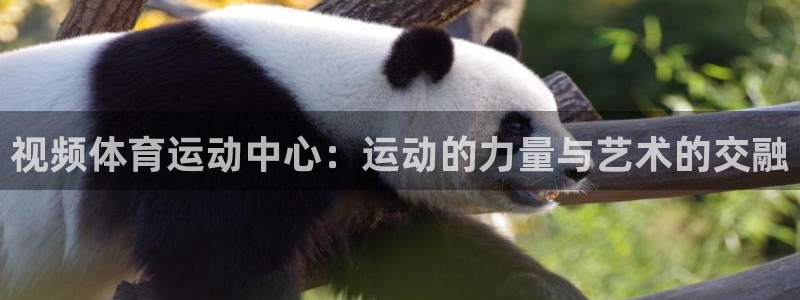 意昂3代理