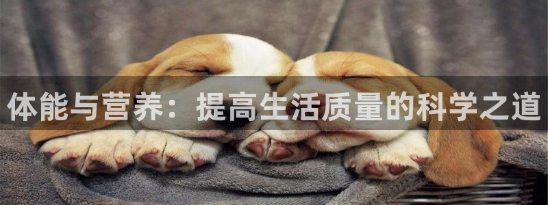 意昂3凯捷平台注册链接