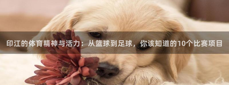 佛山市南海意昂3机电仪器有限公司