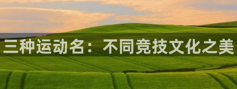 东莞市意昂3电子科技有限公司